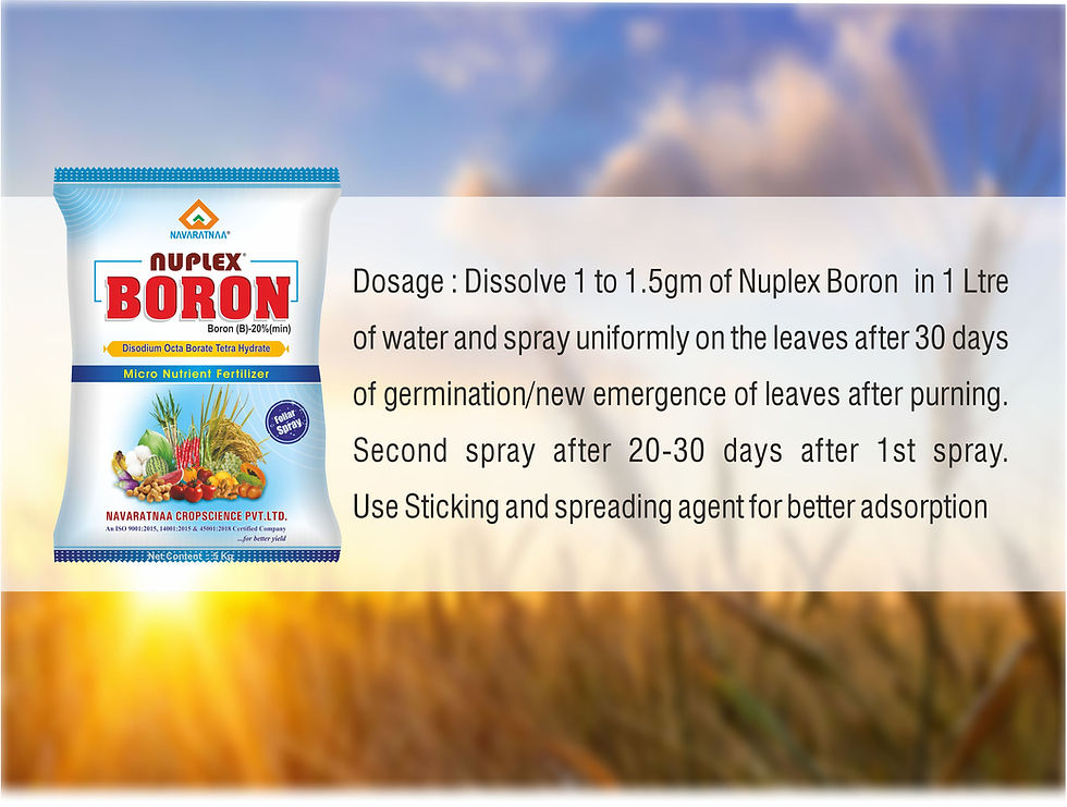 Thumbnail: NUPLEX BORON