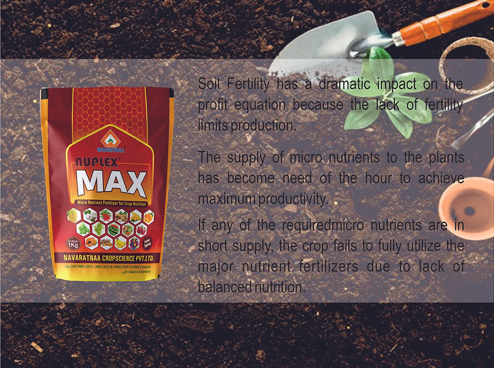 Thumbnail: NUPLEX MAX