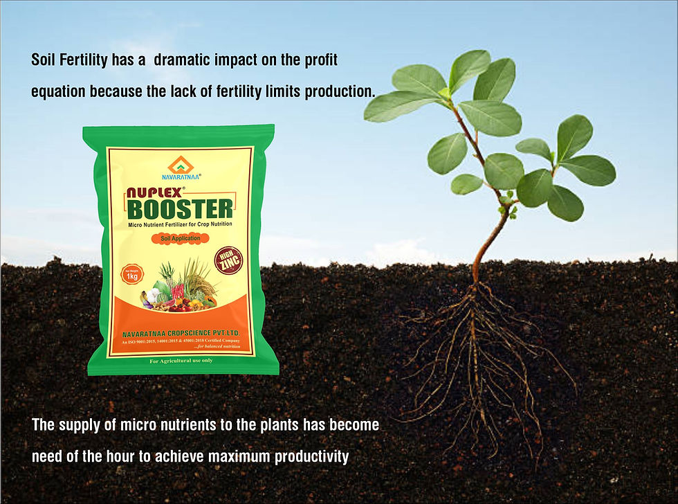 Thumbnail: NUPLEX BOOSTER