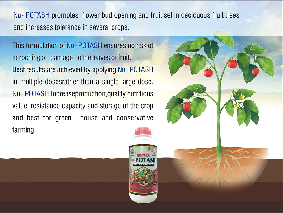 Thumbnail: NUPLEX NU-POTASH