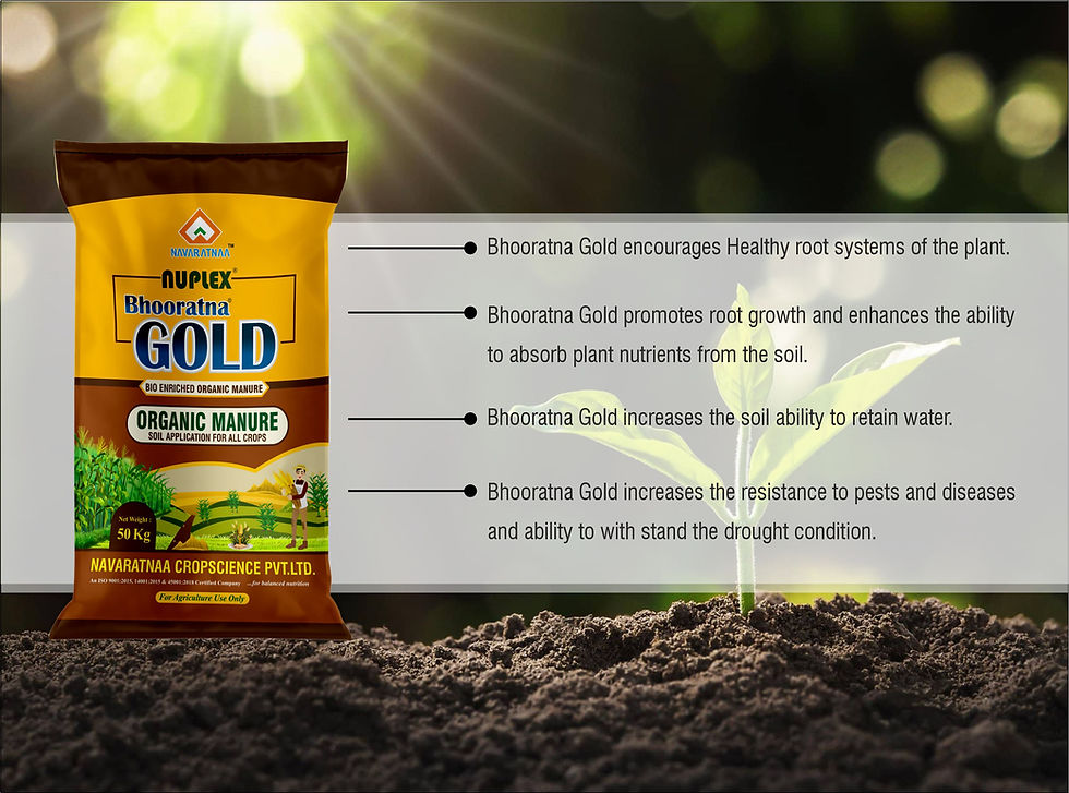 Thumbnail: NUPLEX BHOORATNA GOLD