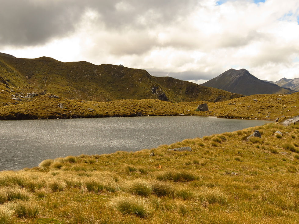 Lake Elly
