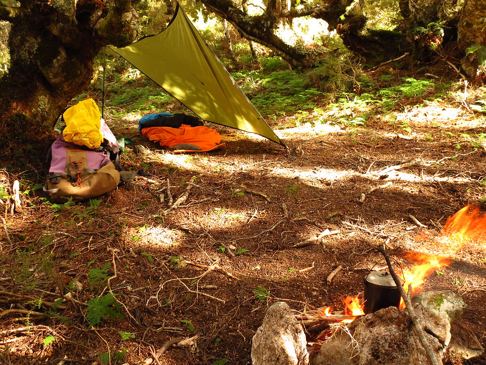A perfect wee campsite