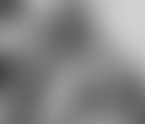 עלה לתרופה מתוך סליחות