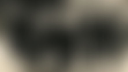 הצנזורה באגרת של האמרי אמת