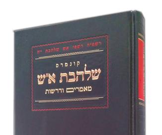 מאמר דברי הימים פרק ח'