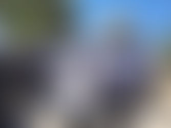 כמה עוד יהודים ימותו בגלל העובדי עבודה זרה בשיתוף, נותנים מקום לקליפה להאחז במקום מקדש ה' החרב בעוונתינו הרבים (גם האם הם נמצאים בעזרת נשים, יש מצב, כי הכל אצלם משוער)