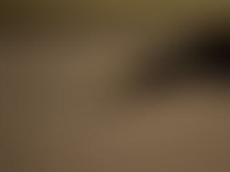 ¿La literatura en la vida cotidiana?