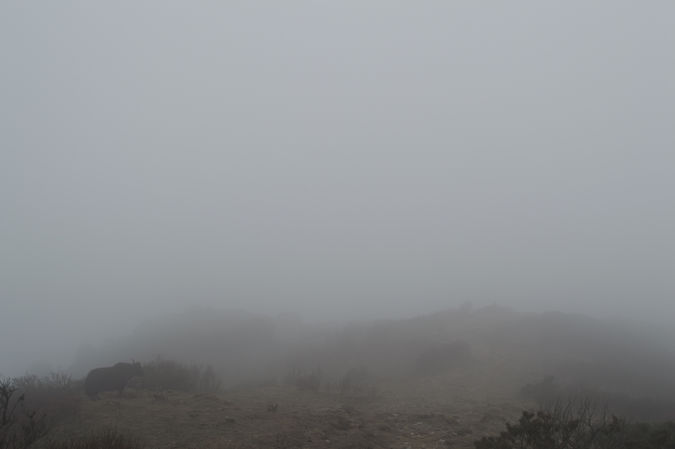 Himalayas / Nepal · 2015