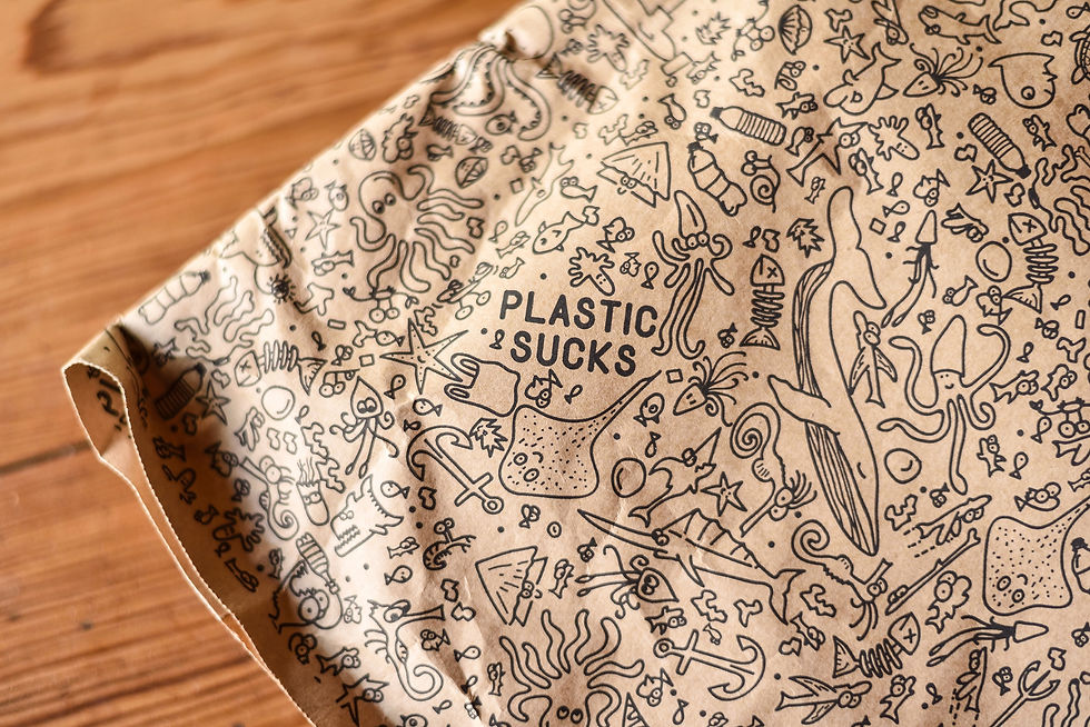 FLAMINGONE in Bird, Birder, Birdest book