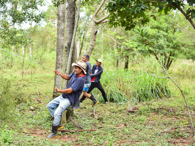 Piribebuy / Paraguay · 2024