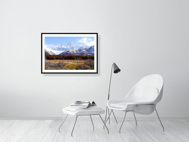 Thumbnail: autumn in spring (open collection - framed print) · Argentina · 2014