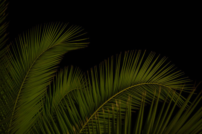 Dubrovnik / Croatia · 2018