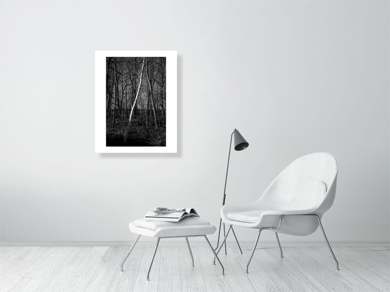 Thumbnail: s t i c k k i n g (open collection - white border print) · Canada · 2020