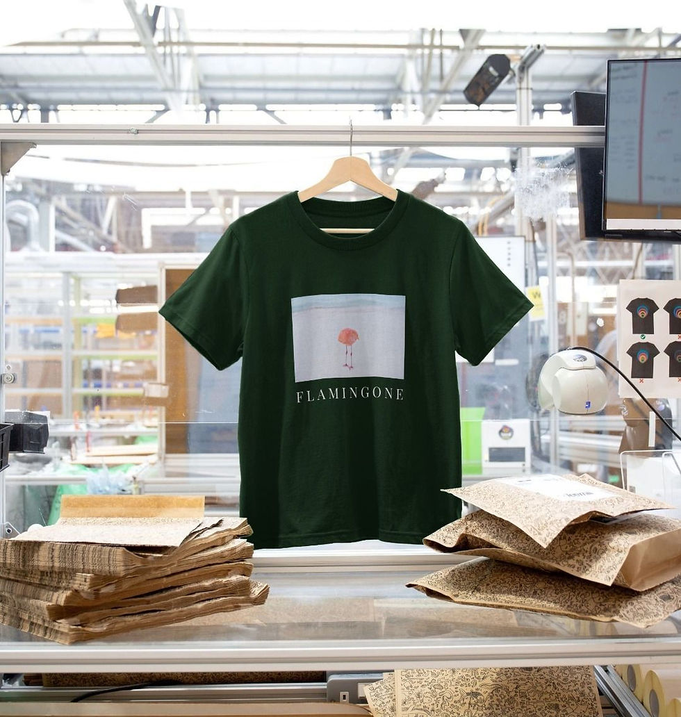 Thumbnail: F L A M I N G O N E · women's organic cotton t-shirt · photo and text