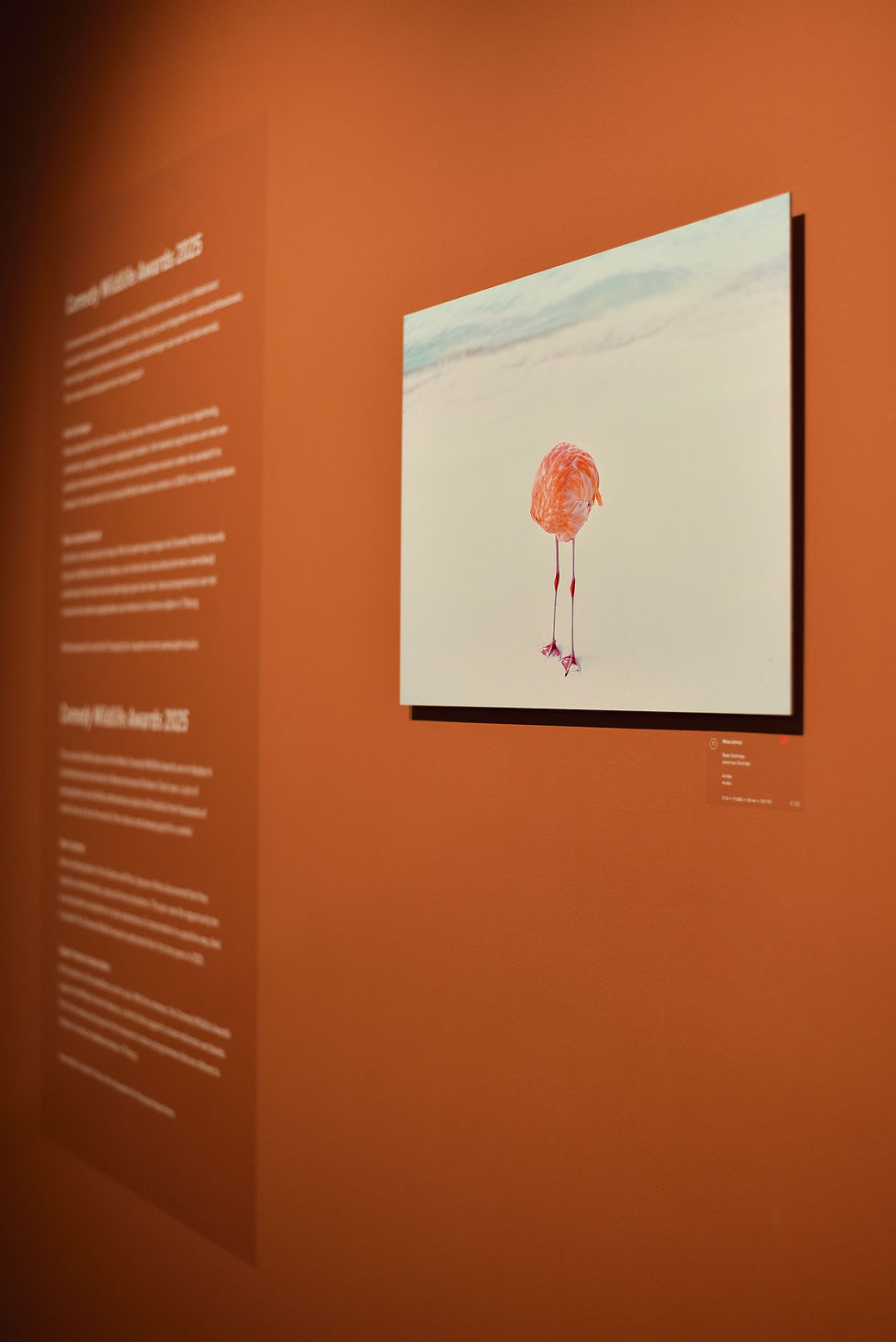 FLAMINGONE AI mockup