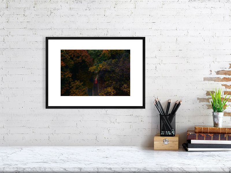 Thumbnail: autumn racer (open collection print) · Toronto / Canada · 2022