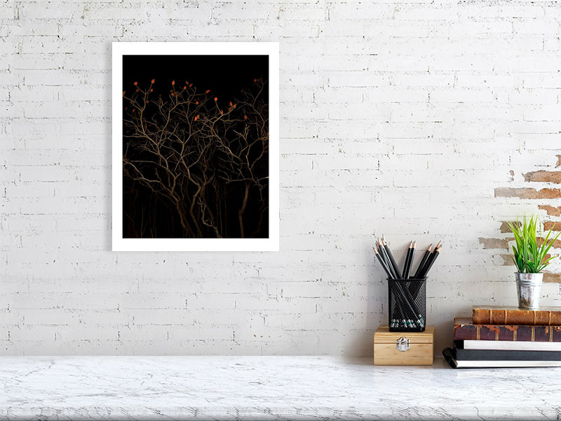 Thumbnail: dark spark (open collection - white border print) · Montreal / Canada · 2020