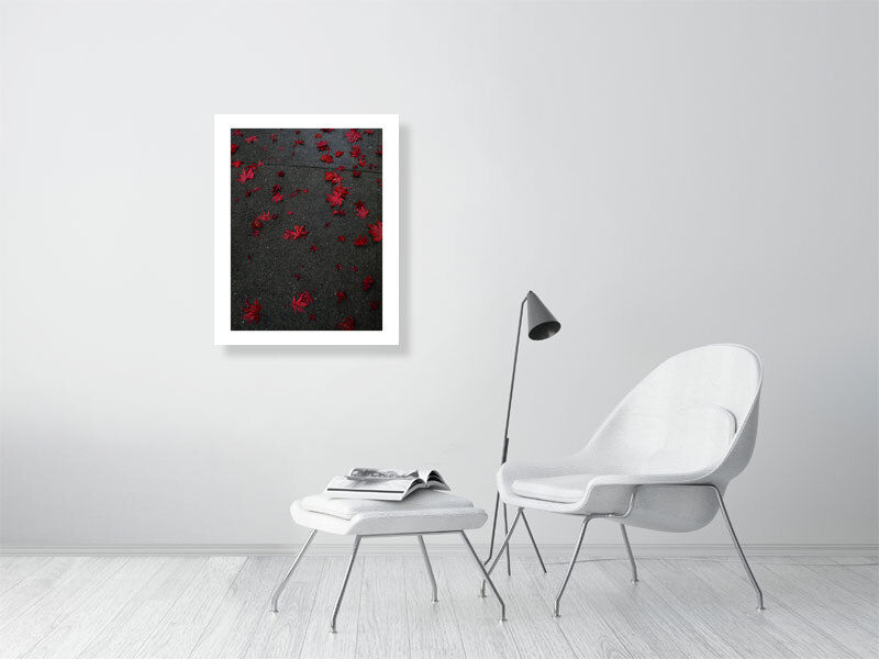 Thumbnail: c a n a d u h (open collection - white border print) · Vancouver / Canada · 2019