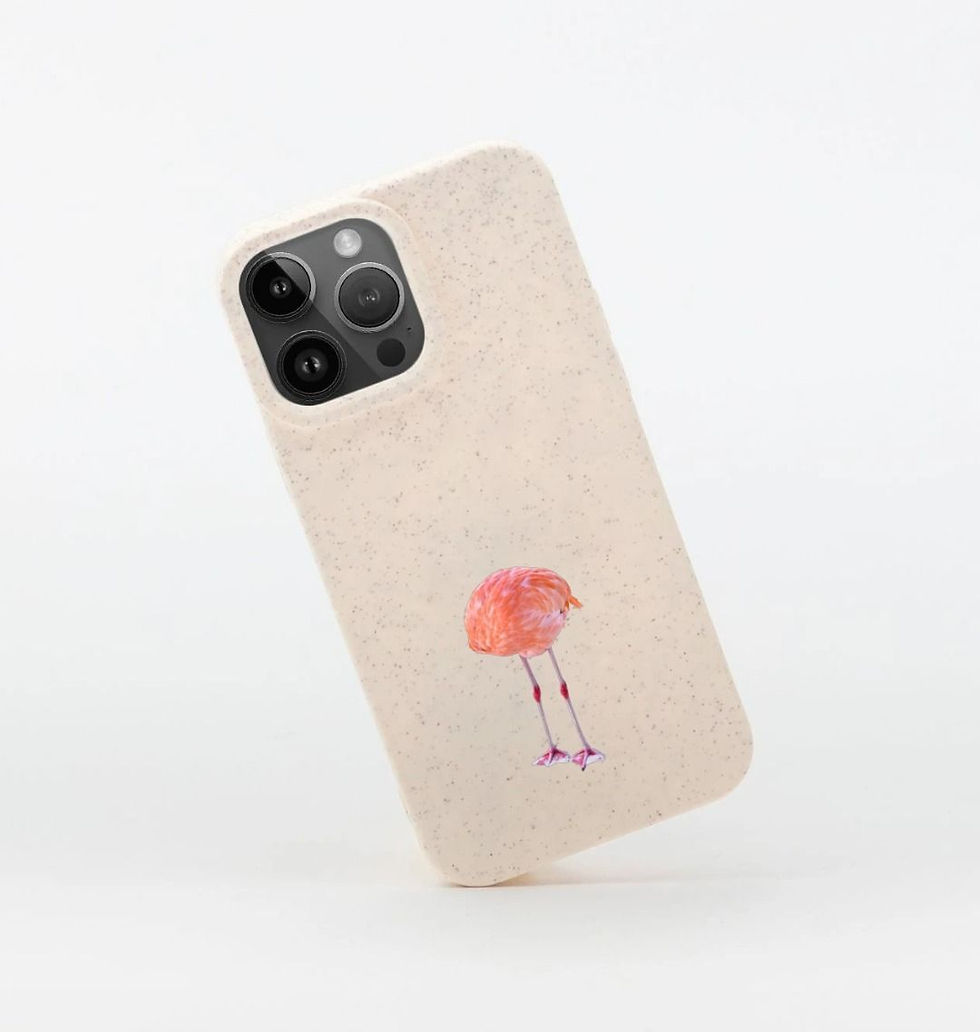 Thumbnail: F L A M I N G O N E · biodegradable phone case