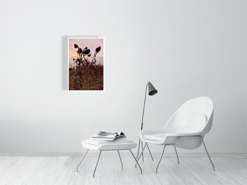 Thumbnail: sunflower cemetery (fine art print) · NRW / Germany · 2020