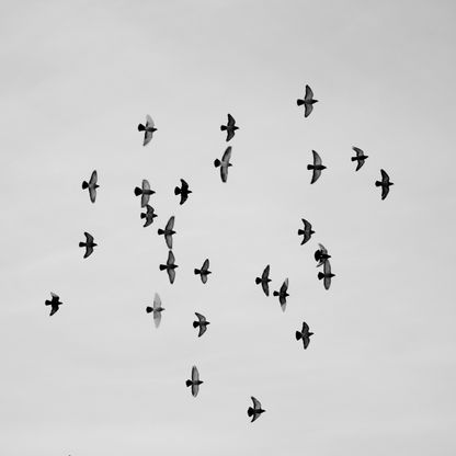 Montreal / Canada · 2020