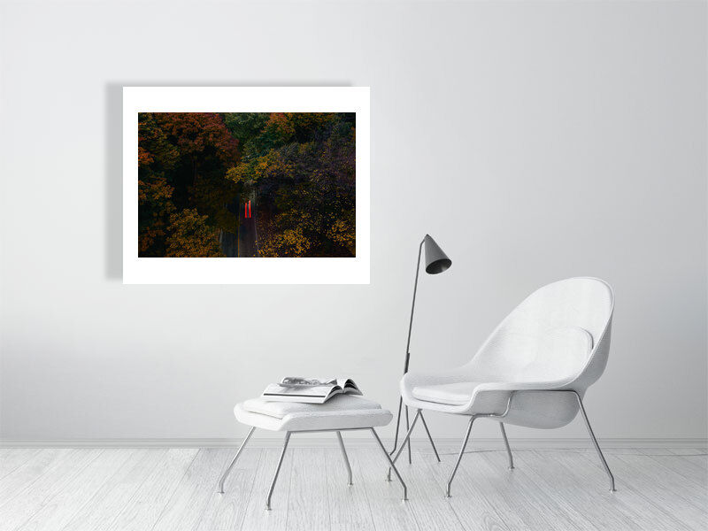 Thumbnail: autumn racer (open collection print) · Toronto / Canada · 2022