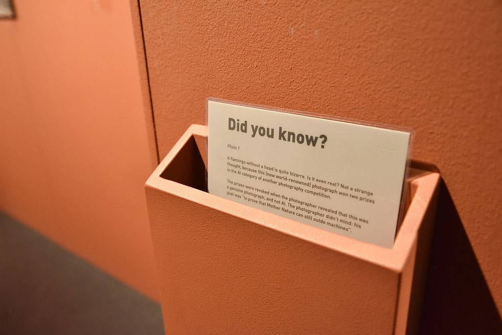 FLAMINGONE AI mockup