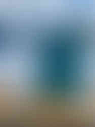 FLAMINGONE in the Swiss Alps