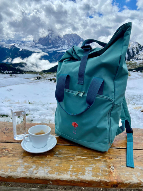 FLAMINGONE in the Swiss Alps