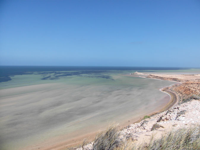 Shark Bay / Australia · 2010