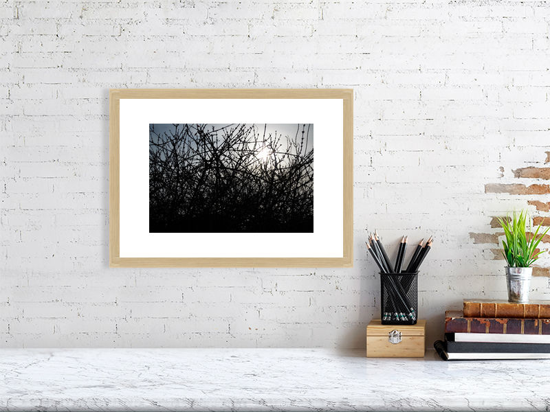 Thumbnail: midst of winter (open collection - framed print) · South Korea · 2016