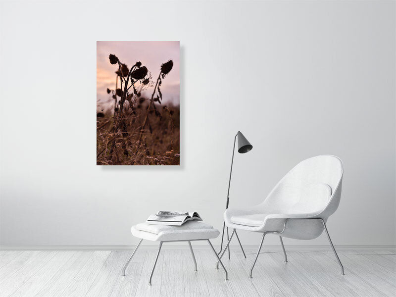 Thumbnail: sunflower cemetery (open collection - borderless print) · NRW / Germany · 2020