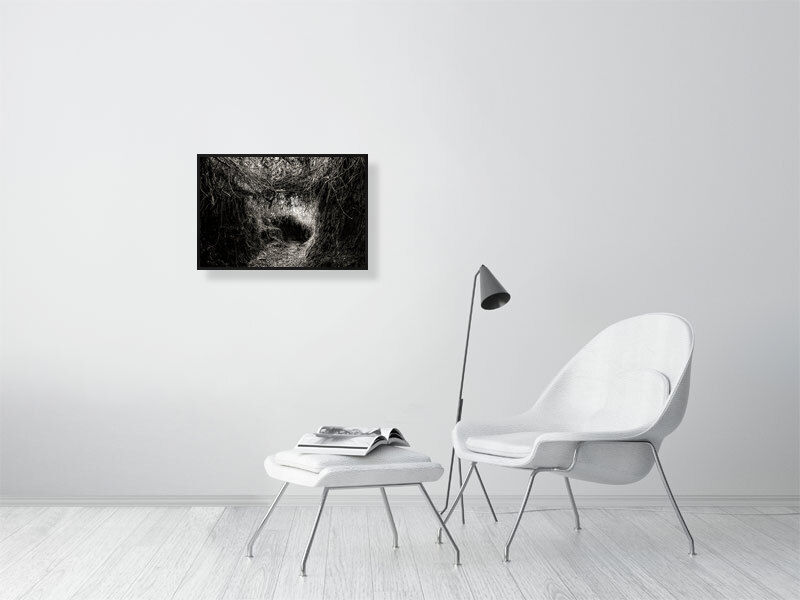 Thumbnail: dark dare (open collection print) · Ecuador · 2012