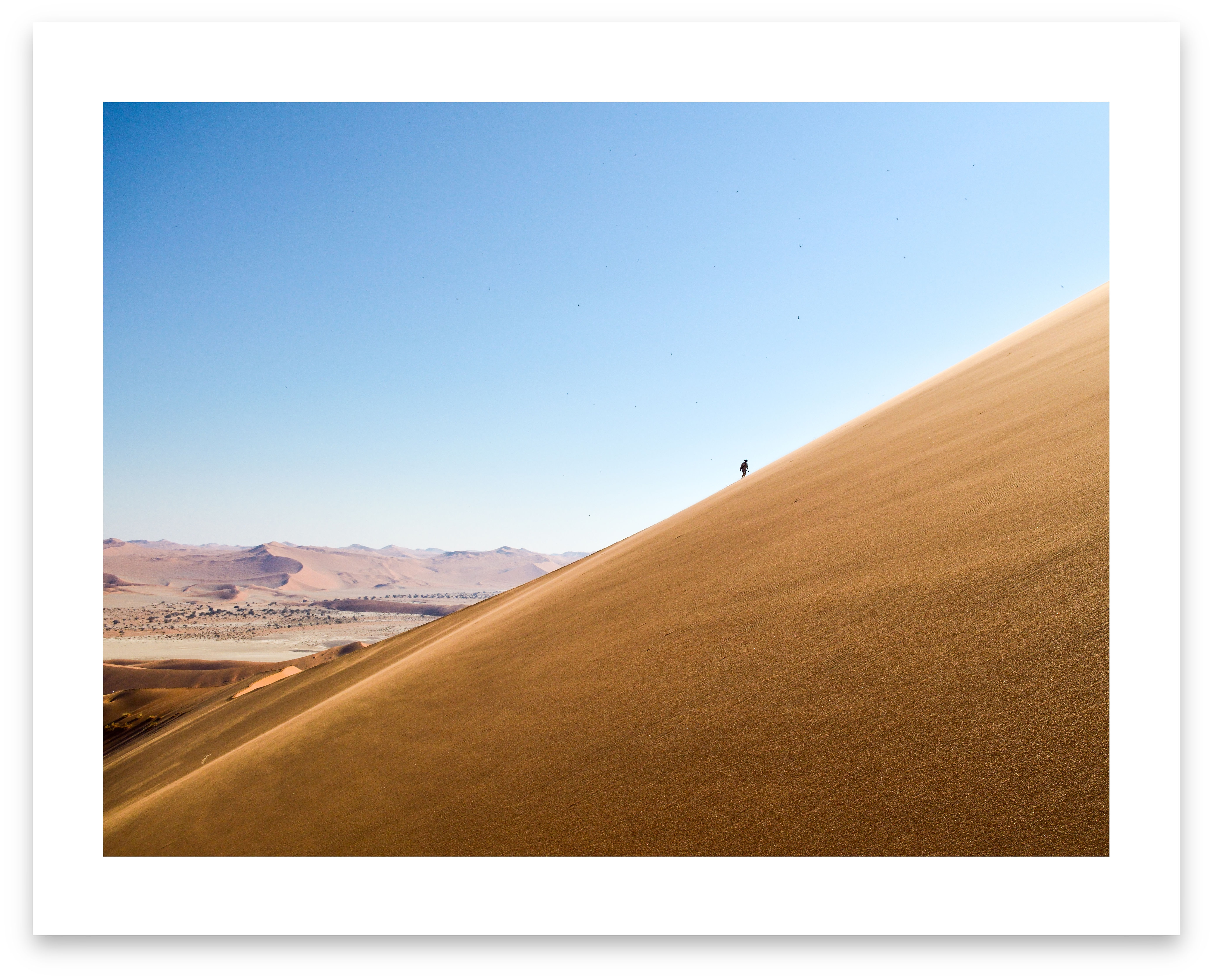 antman, sandman (open collection - white border print) · Nambia · 2017