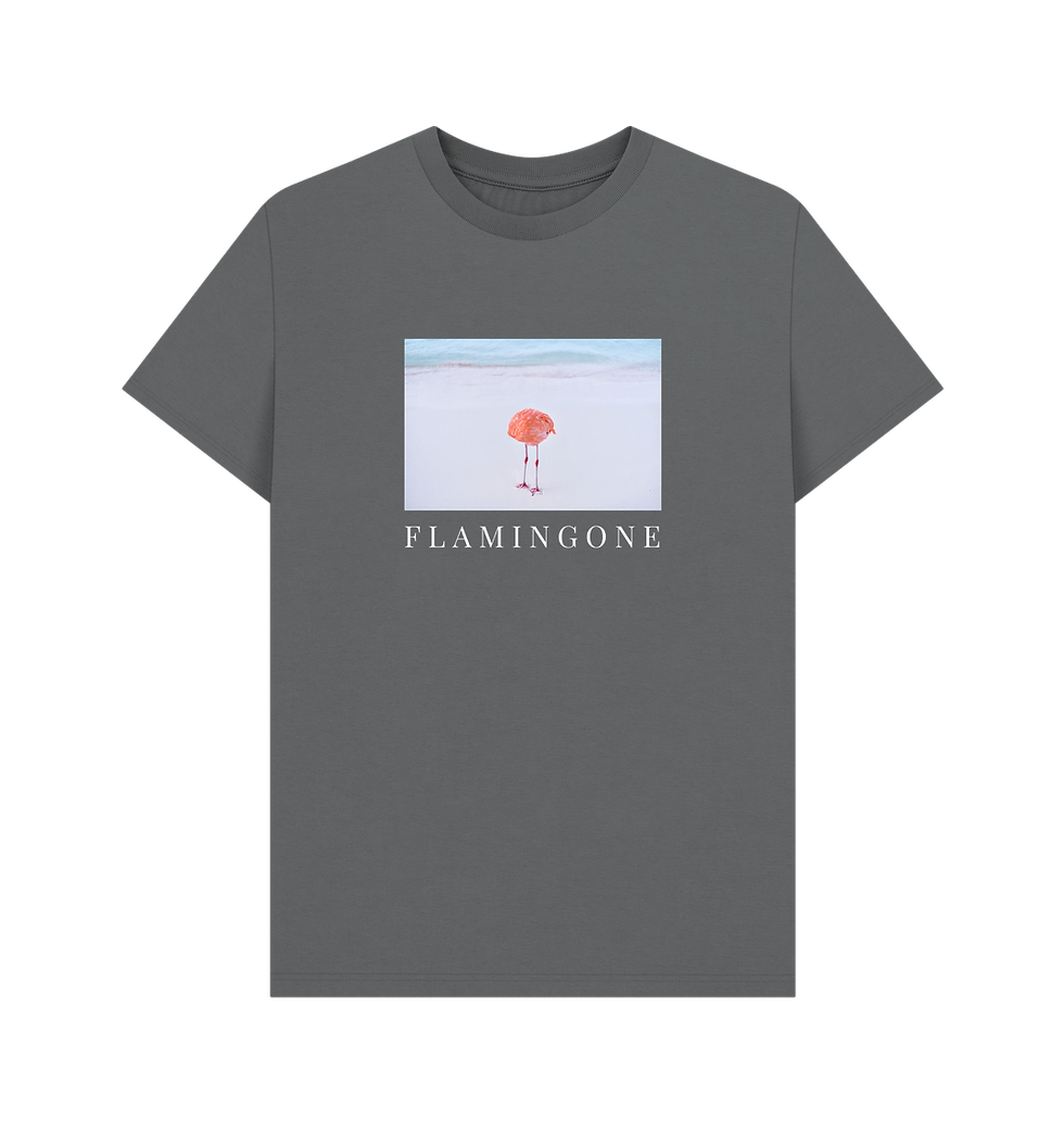 Thumbnail: F L A M I N G O N E · men's organic cotton t-shirt · photo and text