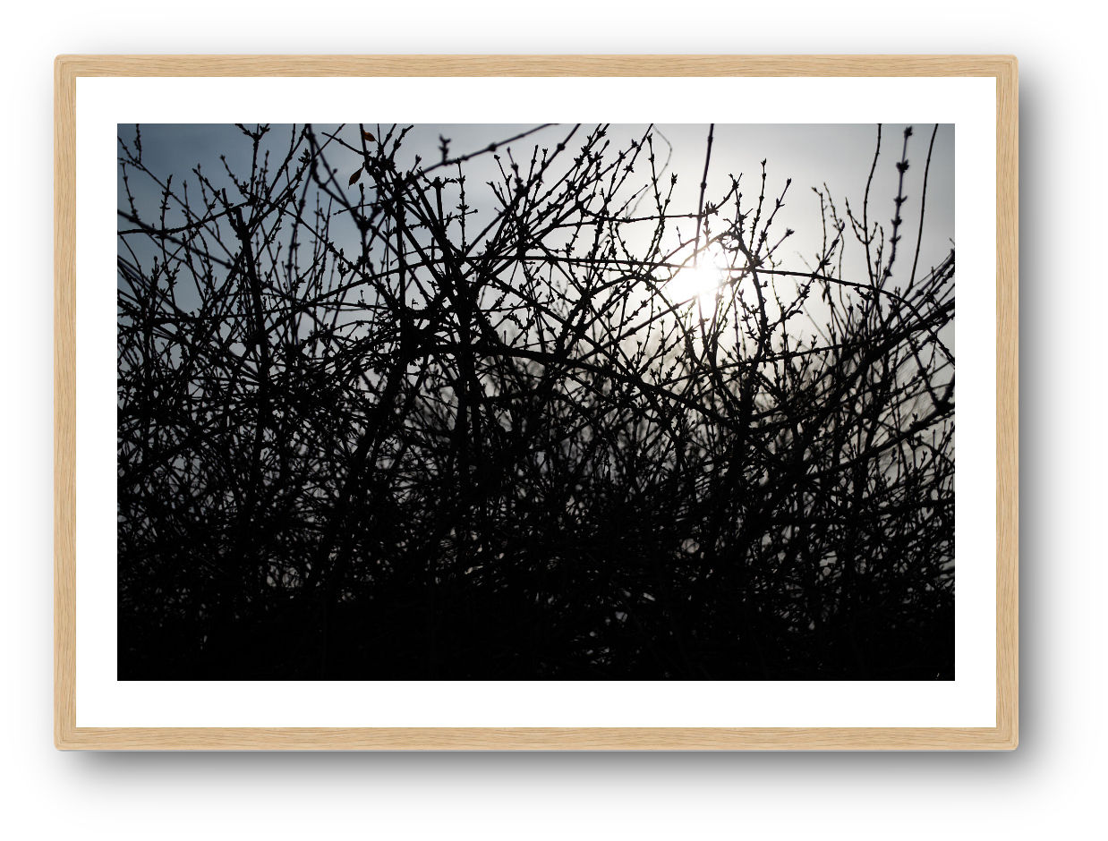 midst of winter (open collection - framed print) · South Korea · 2016