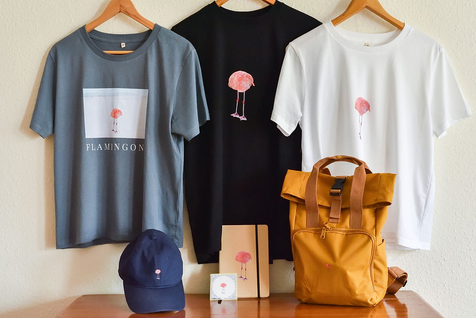 FLAMINGONE in Bird, Birder, Birdest book