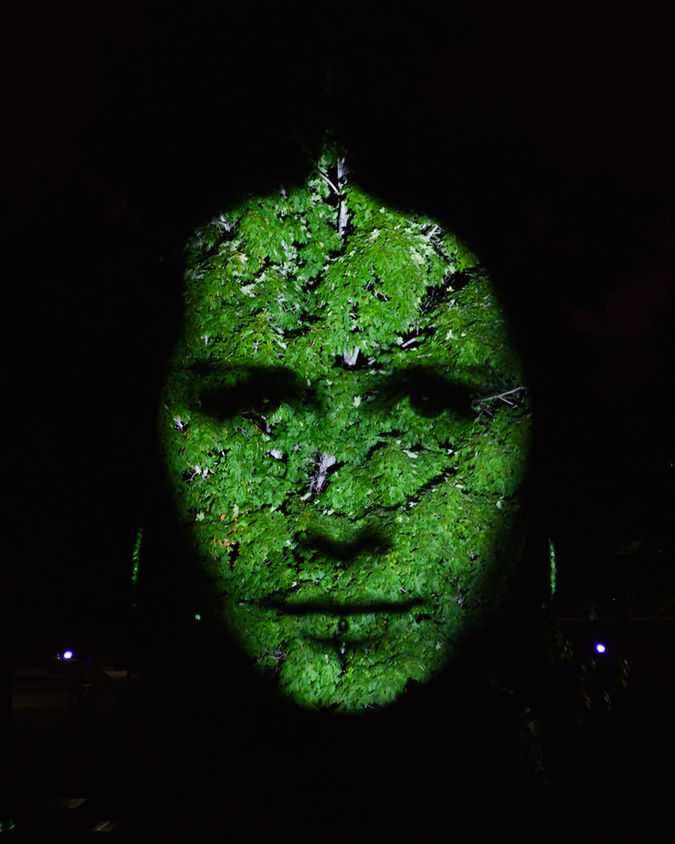 Old Port, Montreal / Canada · 2016