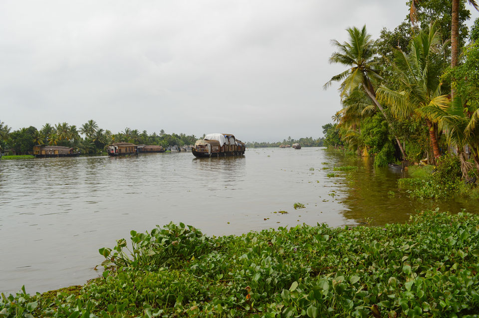 Kerala / India · 2015