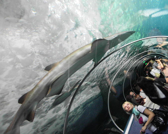 Sydney / Australia · 2009