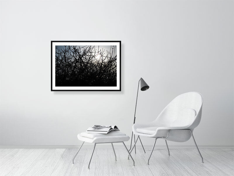Thumbnail: midst of winter (open collection - framed print) · South Korea · 2016