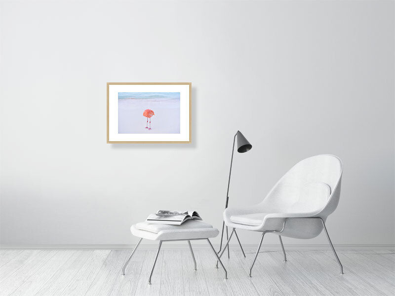Thumbnail: f l a m i n g o n e (open collection - framed print) · Aruba · 2022