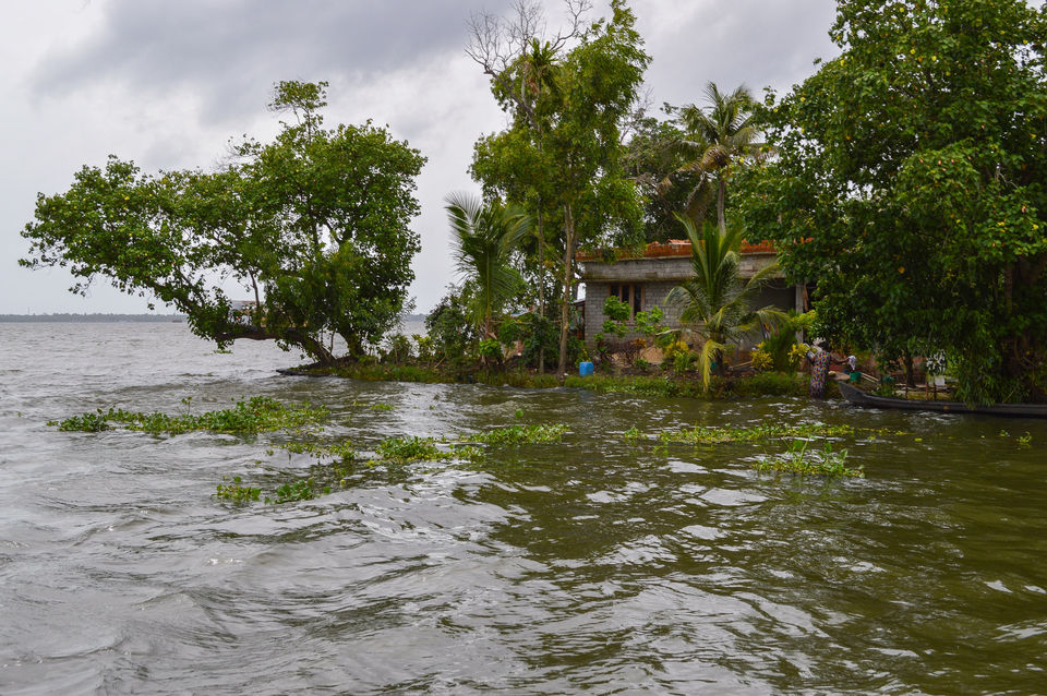 Kerala / India · 2015