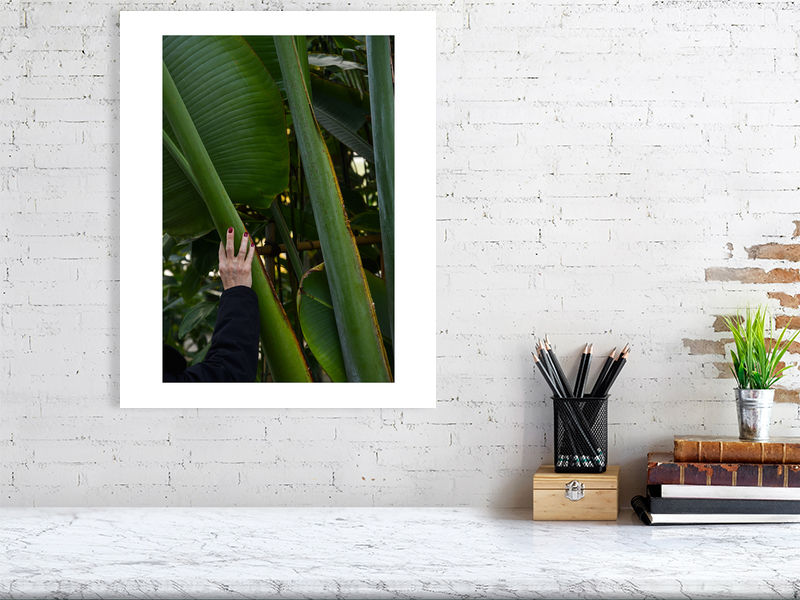 Thumbnail: a touch of nature (limited edition print) · Paris / France · 2022