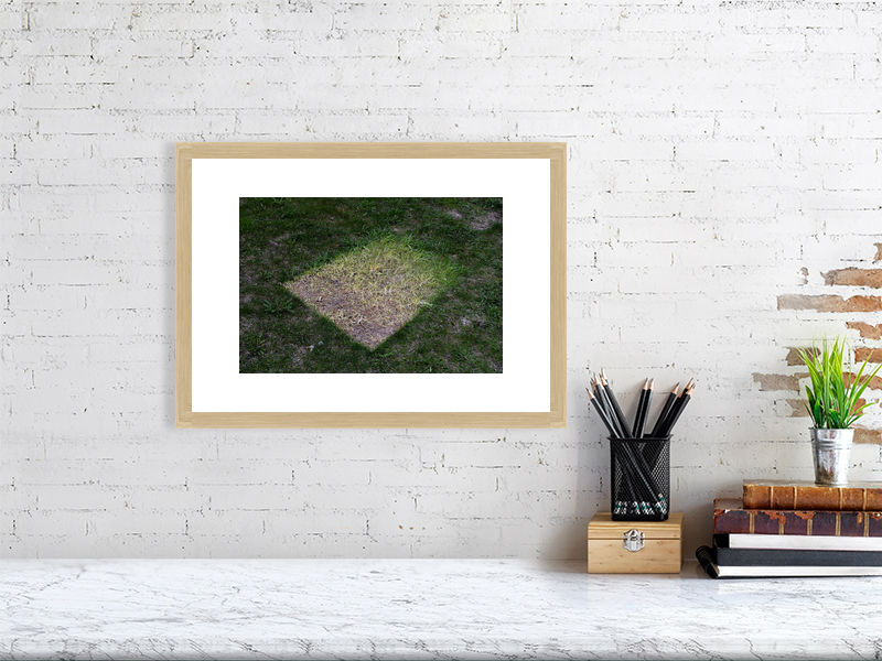 Thumbnail: something's missing (open collection - framed print) · Canada · 2020
