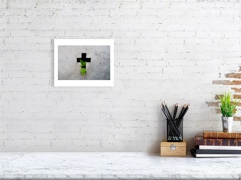 Thumbnail: death birthing life (open collection - white border print) · Argentina · 2014