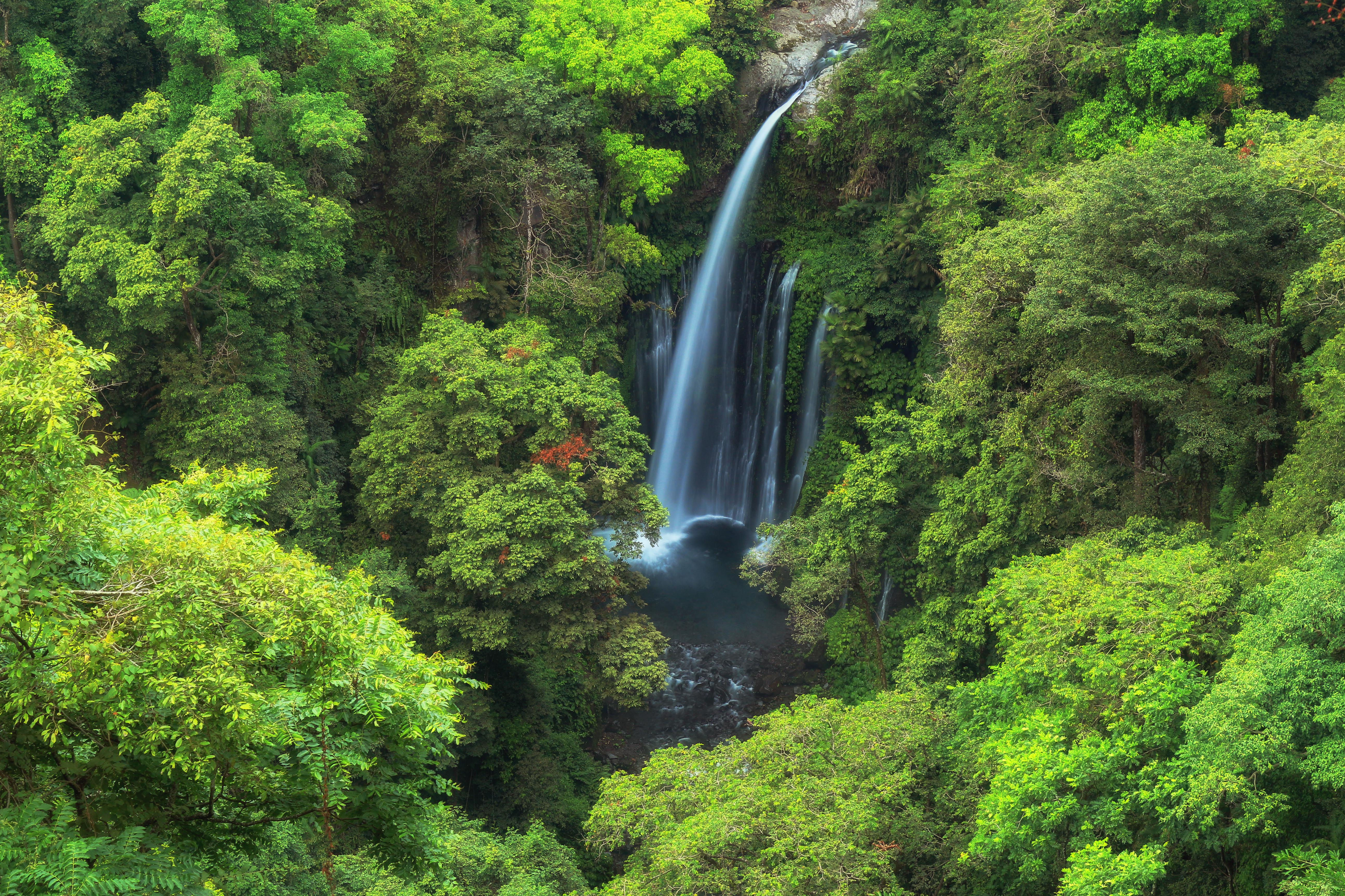 TOUR TIU KELEP WATERFALL - 3D2N