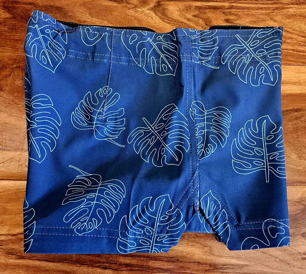 Thumbnail: Lady Jr 4 Way Stretch SHORT STYLE#LD23-4 "BLUE/MONSTERA LEAF"