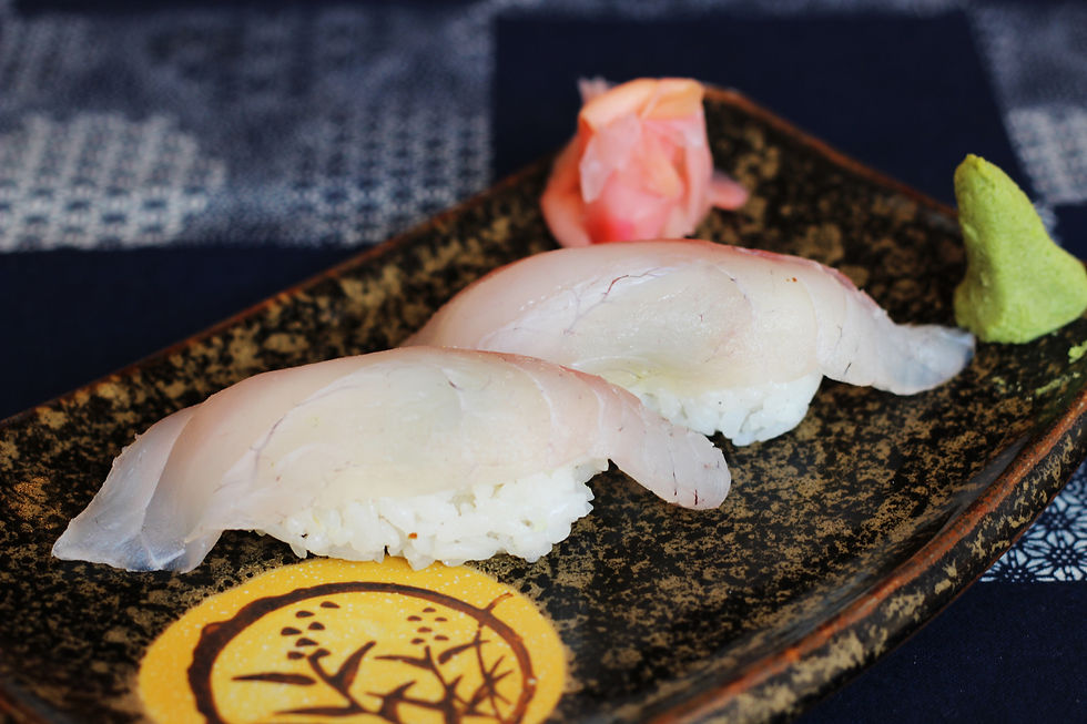 Snapper